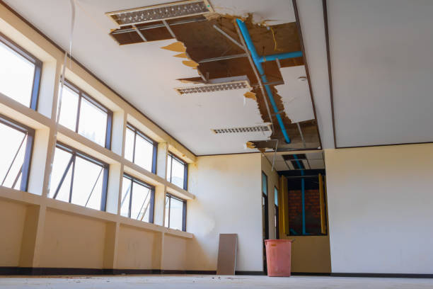 Best Fire Damage Restoration  in Tappahannock, VA