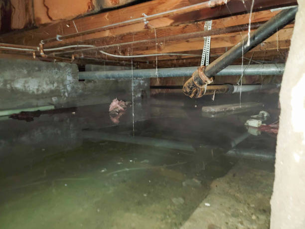 Water damage restoration mold remediation in Tappahannock, VA