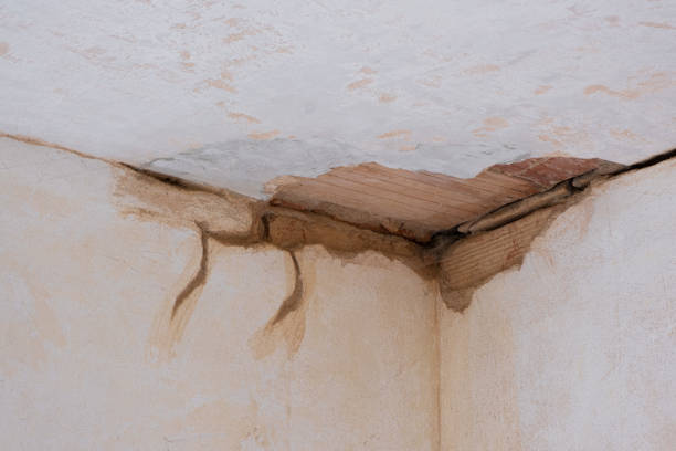 Best Flood restoration services  in Tappahannock, VA