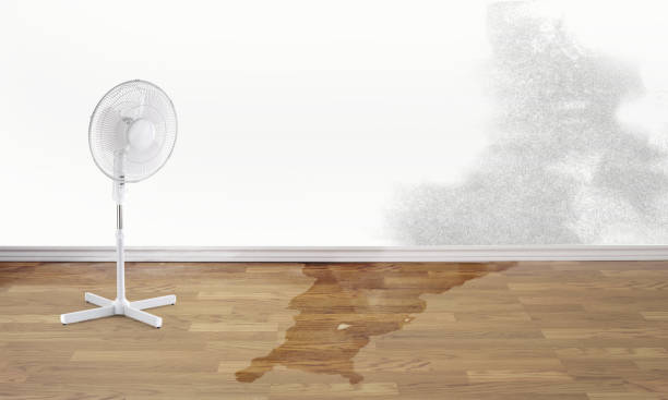 Professional Water damage restoration in Tappahannock, VA