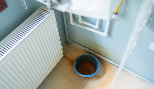 Best Carpet water damage restoration  in Tappahannock, VA