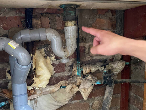 Best Water damage mitigation services  in Tappahannock, VA