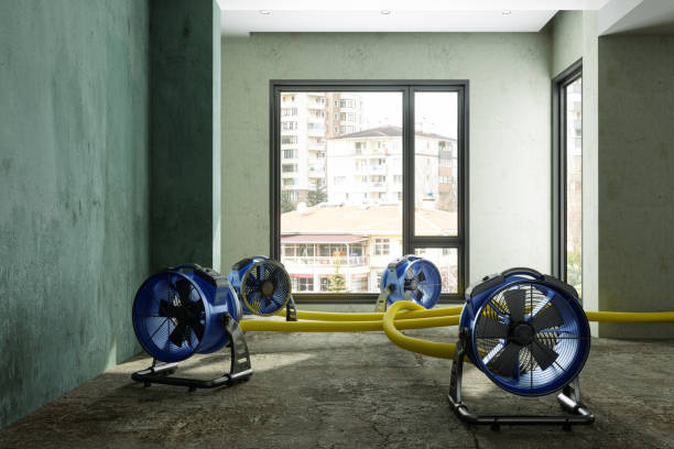 Best Water damage restoration services  in Tappahannock, VA